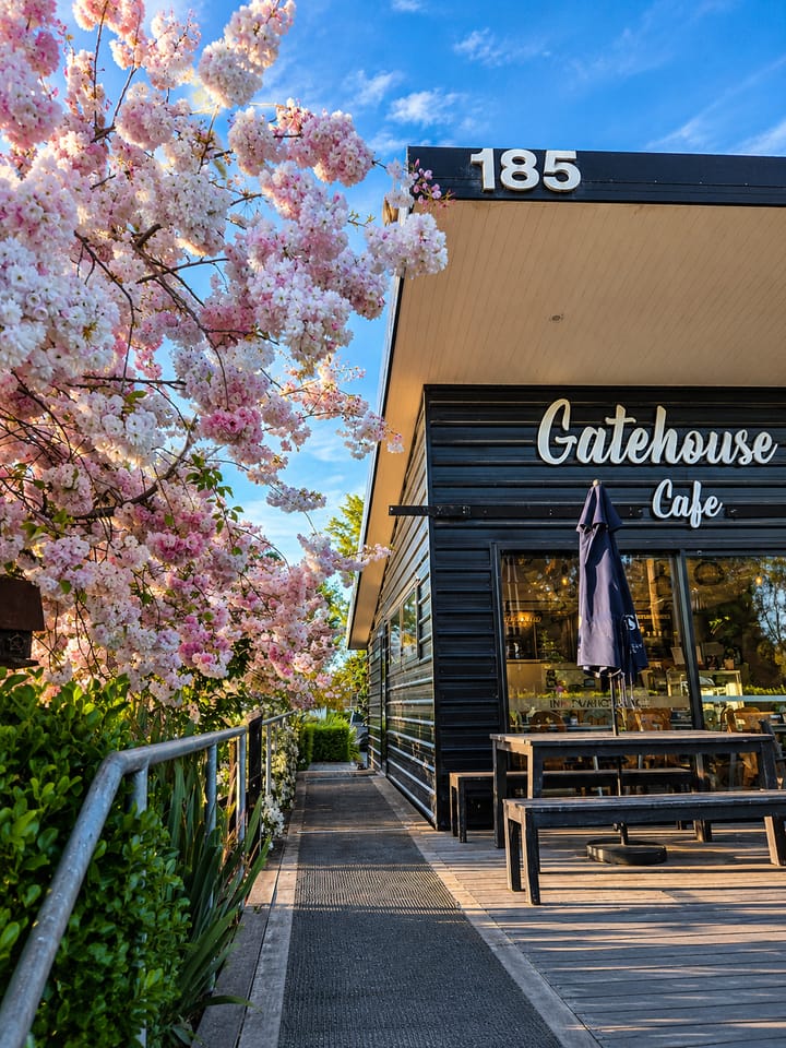 Gatehouse Cafe exterior framed by flowering trees